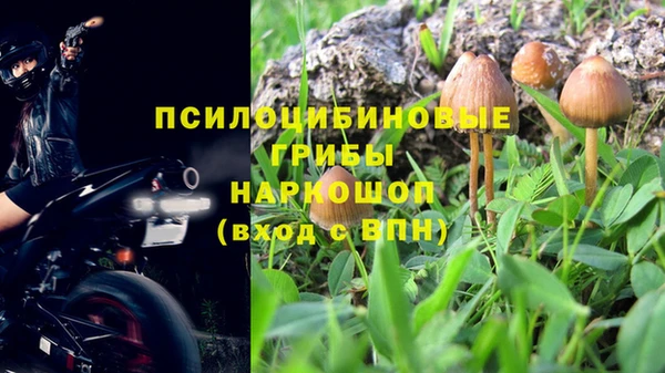 МДМА Алексеевка