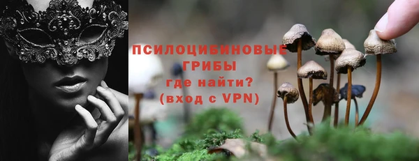 дмт Армянск