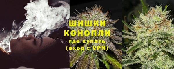 прущие грибы Арсеньев