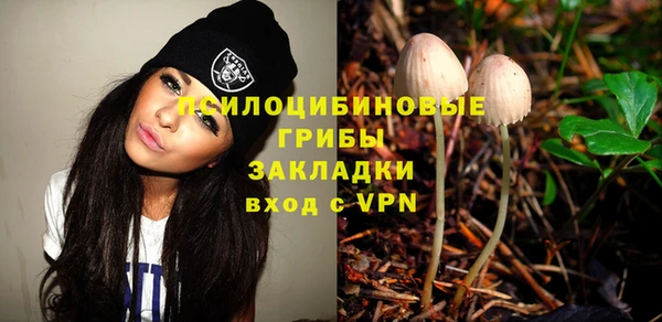 дмт Армянск