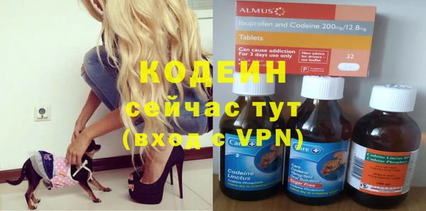 прущие грибы Арсеньев