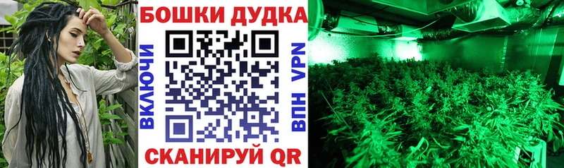 Шишки марихуана гибрид Канаш